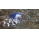 Aeratorius AquaOxy 2000 CWS